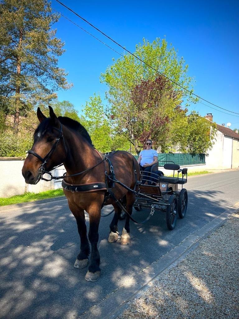 Le Gite De Gaia Otel Villemer  Dış mekan fotoğraf